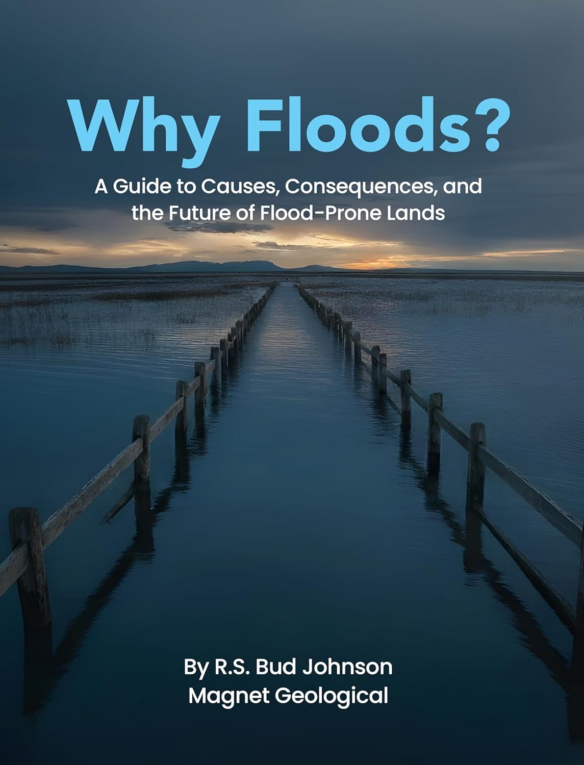 Why Floods? : A Guide to Causes, Consequences, and the Future of Flood-Prone Lands Book Cover for Why Floods? : A Guide to Causes, Consequences, and the Future of Flood-Prone Lands
